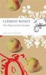 Clement Rosset - The Real and its Double