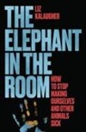 Liz Kalaugher, Liz Kalaugher - Elephant in the Room