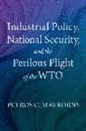 Petros C. Mavroidis, Petros C. (Edwin B. Parker Professor of Mavroidis, Petros C. (Edwin B. Parker Professor of Law Mavroidis, Mavroidis Petros C. - Industrial Policy, National Security, and the Perilous Plight of the