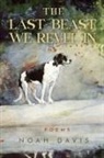 Noah Davis - The Last Beast We Revel In