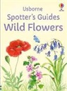 Sarah Russell, Mary Woodin, Woodin Mary - Spotter''s Guides: Wild Flowers