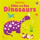 Fiona Watt, Watt Fiona, Stella Baggott, Baggott Stella - Slide and See Dinosaurs