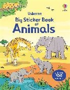 Jessica Greenwell, Jessica Taplin Greenwell, Greenwell Jessica, Sam Taplin, Taplin Sam, Rebecca Finn... - Big Sticker Book of Animals