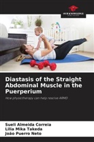 Sueli Almeida Correia, Lilia Mika Takeda, João Puerro Neto - Diastasis of the Straight Abdominal Muscle in the Puerperium