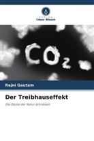 Rajni Gautam - Der Treibhauseffekt
