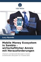 Lucy Nyundo - Mobile Money Ecosystem in Sambia - wirtschaftlicher Anreiz mit Herausforderungen