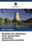 Nkechi Ofoegbu - Qualität des Abflusses eines getauchten anaeroben Membranbioreaktors