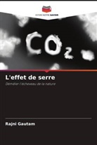 Rajni Gautam - L'effet de serre