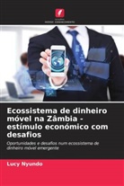 Lucy Nyundo - Ecossistema de dinheiro móvel na Zâmbia - estímulo económico com desafios