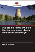 Nkechi Ofoegbu - Qualité de l'effluent d'un bioréacteur anaérobie à membrane submergé