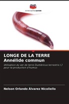 Nelson Orlando Álvarez Nicoliello - LONGE DE LA TERRE Annélide commun