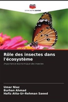 Burhan Ahmad, Hafiz Atta-Ur-Rehman Saeed, Umar Niaz - Rôle des insectes dans l'écosystème