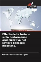 Ismail Shola Ahmodu-Tijani - Effetto della fusione sulla performance organizzativa nel settore bancario nigeriano.