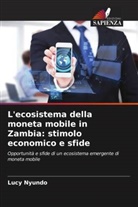 Lucy Nyundo - L'ecosistema della moneta mobile in Zambia: stimolo economico e sfide