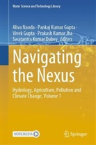 Swatantra Kumar Dubey, Pankaj Kumar Gupta, Vivek Gupta, Vivek Gupta et al, Prakash Kumar Jha, Pankaj Kumar Gupta... - Navigating the Nexus