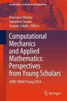 Salvatore Cuomo, Arsenio Cutolo, Francesco Marmo - Computational Mechanics and Applied Mathematics: Perspectives from Young Scholars