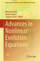 Mohamed Jleli, Bessem Samet, Calogero Vetro - Advances in Nonlinear Evolution Equations