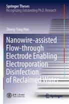 Zheng-Yang Huo - Nanowire-assisted Flow-through Electrode Enabling Electroporation Disinfection of Reclaimed Water