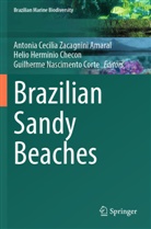 Antonia Cecilia Zacagnini Amaral, Helio Herminio Checon, Guilherme Nascimento Corte, Helio Herminio Checon, Guilherme Nascimento Corte - Brazilian Sandy Beaches
