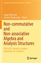 Malyarenko, Anatoliy Malyarenko, Sergei Silvestrov - Non-commutative and Non-associative Algebra and Analysis Structures
