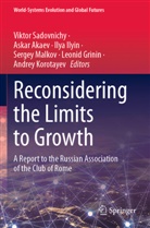 Askar Akaev, Leonid Grinin, Ilya Ilyin, Ilya Ilyin et al, Andrey Korotayev, Sergey Malkov... - Reconsidering the Limits to Growth
