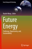 Xiaolin Wang - Future Energy