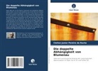 Cleiton Junior Pereira Da Rocha - Die doppelte Abhängigkeit von Blumenau