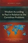 Richard C. Rojas - Wisdom According to Paul in Relation to the Corinthian Problems