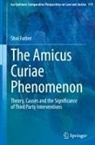 Shai Farber - The Amicus Curiae Phenomenon
