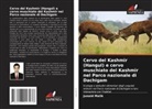 Junaid Malik - Cervo del Kashmir (Hangul) e cervo muschiato del Kashmir nel Parco nazionale di Dachigam
