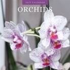 Red Robin - Orchids 2025 Square Wall Calendar