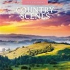 Red Robin - Country Scenes 2025 Square Wall Calendar