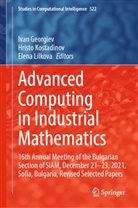 Ivan Georgiev, Hristo Kostadinov, Elena Lilkova - Advanced Computing in Industrial Mathematics