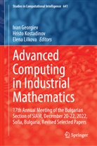 Ivan Georgiev, Hristo Kostadinov, Elena Lilkova - Advanced Computing in Industrial Mathematics