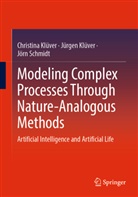 Christina Klüver, Jürgen Klüver, Jörn Schmidt - Modeling Complex Processes Through Nature-Analogous Methods