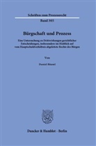 Daniel Bäuml - Bürgschaft und Prozess