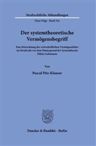 Pascal Pitz-Klauser - Der systemtheoretische Vermögensbegriff