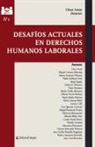 César Arese, Miguel Canessa Montejo, Marco Antonio Villatore - Desafíos actuales en derechos humanos laborales