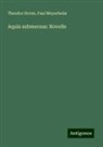 Paul Meyerheim, Theodor Storm - Aquis submersus: Novelle