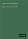 Paul Meyerheim, Theodor Storm - Aquis submersus: Novelle