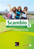 Antonio Bentivoglio, Verena Bernhofer, Cla Braidi, Bentivoglio, Verena Bernhofer - Scambio Prüfungstraining 1, m. 1 CD-ROM, m. 1 Buch