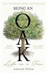 Laurent Tillon - Being an Oak