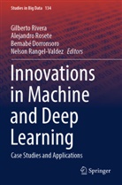 Bernabé Dorronsoro, Nelson Rangel-Valdez, Gilberto Rivera, Alejandro Rosete - Innovations in Machine and Deep Learning