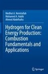 Ahmed Abdelhafez, Mohamed A. Habib, Medhat A. Nemitallah - Hydrogen for Clean Energy Production: Combustion Fundamentals and Applications