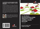 Sandra Ana Bolfe, Ricardo Stedile Neto - La struttura socioeconomica delle abitazioni a basso reddito a Santa Maria/RS