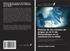 Michael Godet Sambo - Efectos de las normas de origen en el CI de Mozambique en el contexto de la SADC