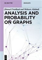 Mohsen Aliabadi, Shmuel Friedland - Analysis and Probability on Graphs