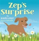 Randy Gauger - Zep's Surprise