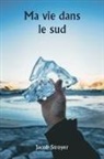 Jacob Stroyer - Ma vie dans le sud
