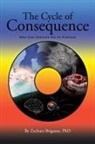Zachary Brigante - The Cycle of Consequence
